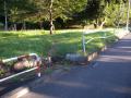 DSCN5140.jpg