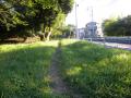 DSCN5141.jpg