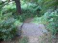 DSCN5145.jpg