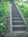 DSCN5146.jpg