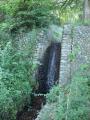 DSCN5148.jpg