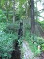 DSCN5149.jpg