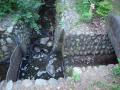 DSCN5150.jpg