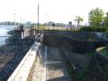 DSCN5171.jpg