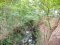 DSCN5192.jpg