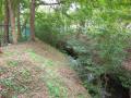 DSCN5193.jpg