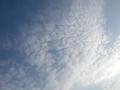 DSCN5202.jpg