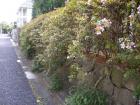 DSCN5212.jpg