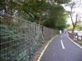 DSCN5252.jpg
