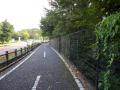 DSCN5253.jpg