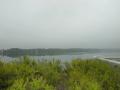 DSCN5263.jpg