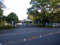 DSCN5267.jpg