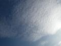 DSCN5274.jpg