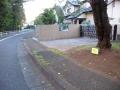 DSCN5306.jpg