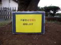 DSCN5307.jpg