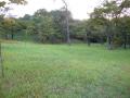 DSCN5323.jpg
