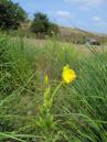DSCN5420.jpg