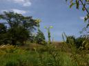DSCN5426.jpg