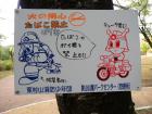 DSCN5475.jpg
