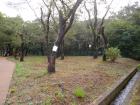 DSCN5479.jpg