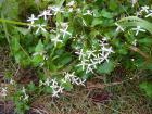 DSCN5490.jpg