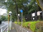 DSCN5498.jpg