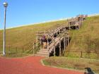 DSCN5505.jpg