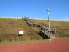 DSCN5516.jpg