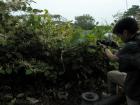 DSCN5538.jpg