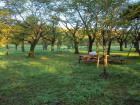 DSCN5544.jpg