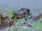 DSCN5602.jpg