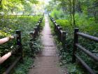 DSCN5673.jpg