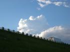 DSCN5680.jpg