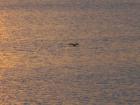 DSCN5698.jpg