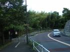 DSCN5707.jpg