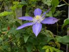 DSCN5734.jpg