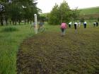 DSCN5782.jpg