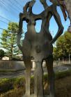 DSCN5802.jpg
