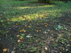 DSCN5864.jpg
