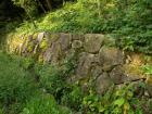 DSCN5895.jpg