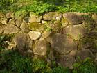 DSCN5896.jpg