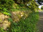 DSCN5898.jpg