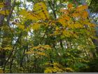 DSCN5998.jpg