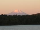 DSCN6005.jpg