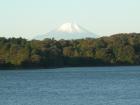 DSCN6016.jpg
