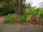 DSCN6023.jpg