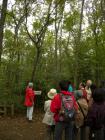 DSCN6028.jpg