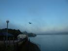 DSCN6042.jpg