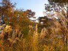 DSCN6189.jpg
