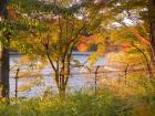 DSCN6192.jpg